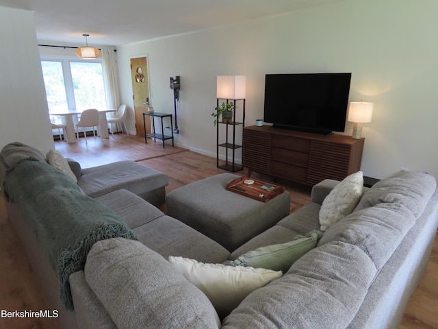 19 Grandview Ter, Adams, MA 01220 - living area featuring wood finished floors