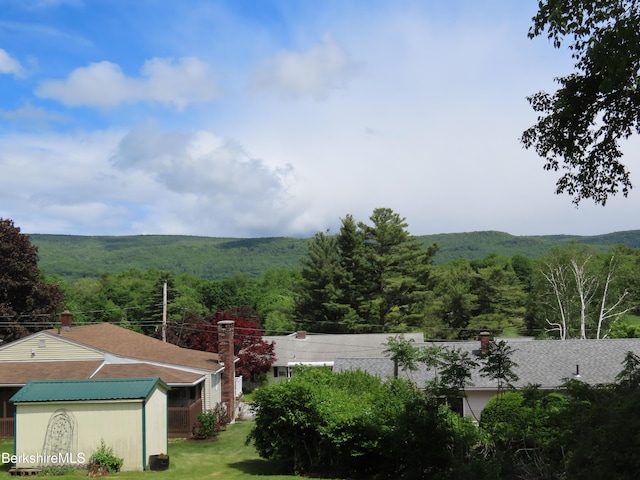 19 Grandview Ter, Adams, MA 01220 - mountain view featuring a forest