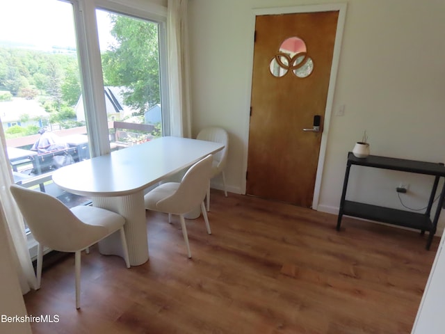 19 Grandview Ter, Adams, MA 01220 - dining space with light wood-style flooring and baseboards