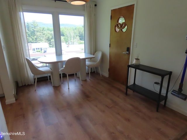 19 Grandview Ter, Adams, MA 01220 - dining room featuring light wood finished floors and baseboards