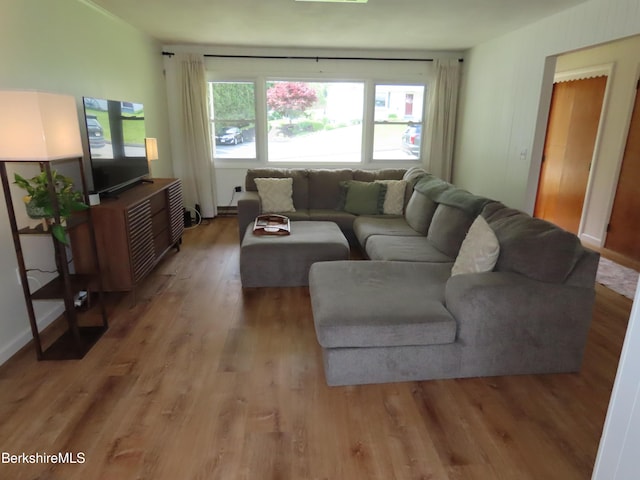 19 Grandview Ter, Adams, MA 01220 - living area featuring light wood-style flooring
