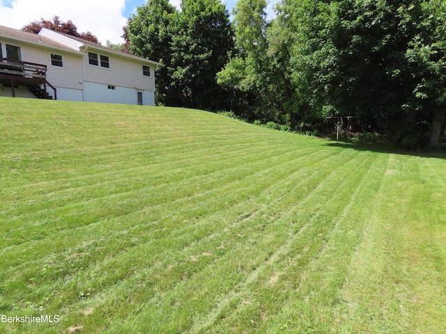 19 Grandview Ter, Adams, MA 01220 - view of grassy yard