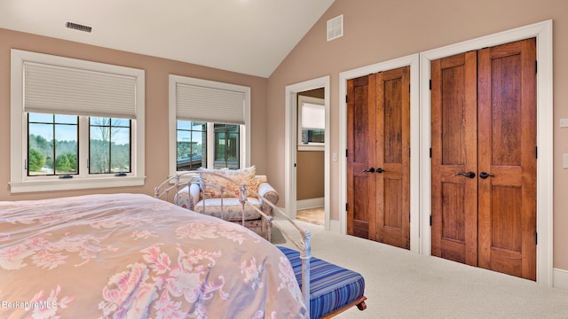 56 Crooked Hill Rd, Alford, MA 01230 - bedroom featuring multiple closets, vaulted ceiling, carpet, and baseboards