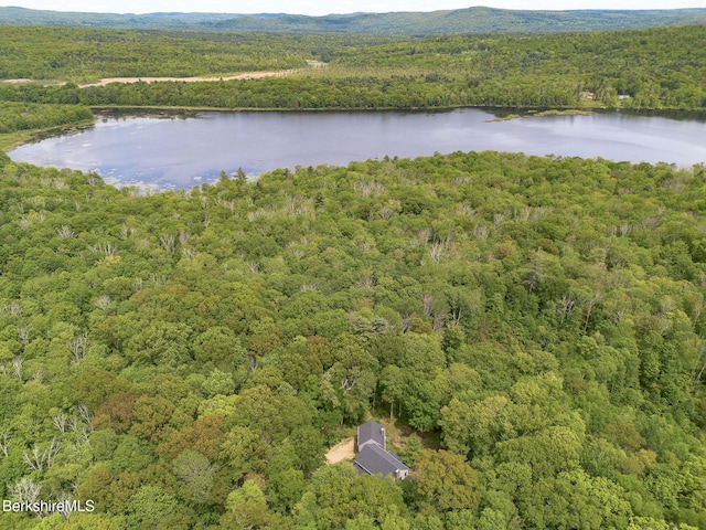 360 Brush Hill Rd, Sheffield, MA 01257 - aerial view of property and surrounding area with a forest and a large body of water