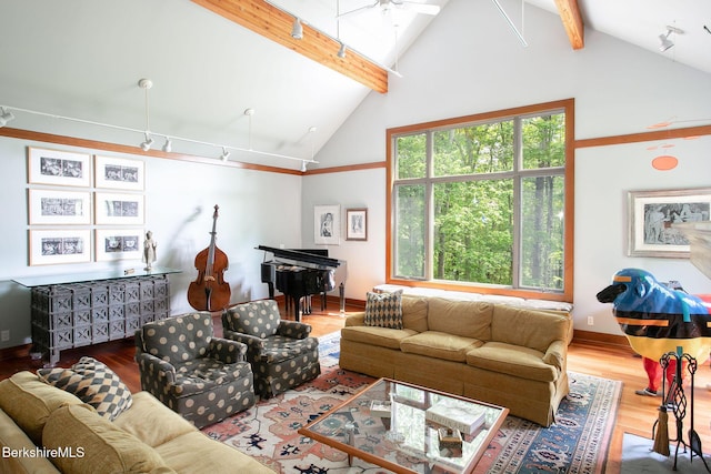 360 Brush Hill Rd, Sheffield, MA 01257 - living room with track lighting, beam ceiling, wood finished floors, high vaulted ceiling, and baseboards