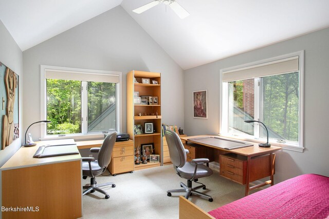 360 Brush Hill Rd, Sheffield, MA 01257 - office space with lofted ceiling, healthy amount of natural light, light carpet, and ceiling fan