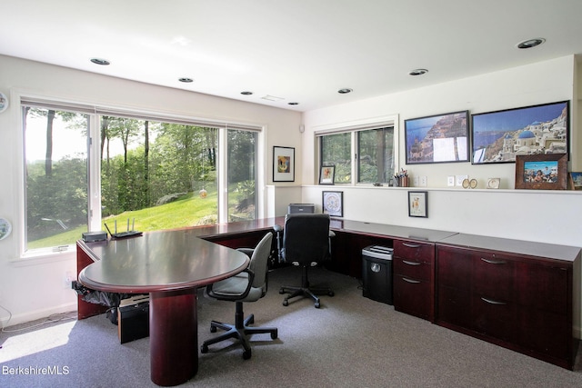 360 Brush Hill Rd, Sheffield, MA 01257 - carpeted office space featuring recessed lighting