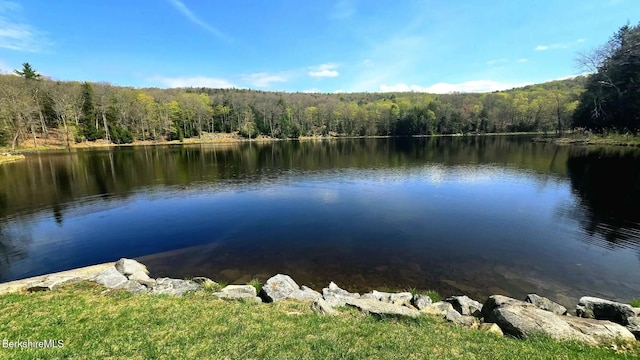 360 Brush Hill Rd, Sheffield, MA 01257 - water view featuring a forest
