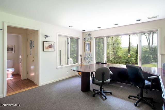 360 Brush Hill Rd, Sheffield, MA 01257 - home office featuring carpet, baseboards, and recessed lighting