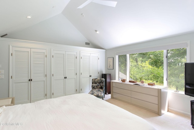 360 Brush Hill Rd, Sheffield, MA 01257 - bedroom featuring a skylight, vaulted ceiling, multiple closets, light colored carpet, and recessed lighting