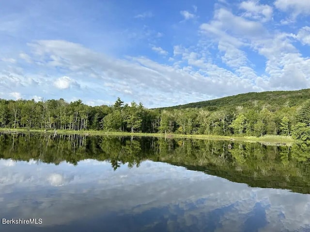 360 Brush Hill Rd, Sheffield, MA 01257 - water view with a heavily wooded area