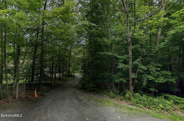 224 Bailey Rd, Lanesborough MA, 01237 land for sale