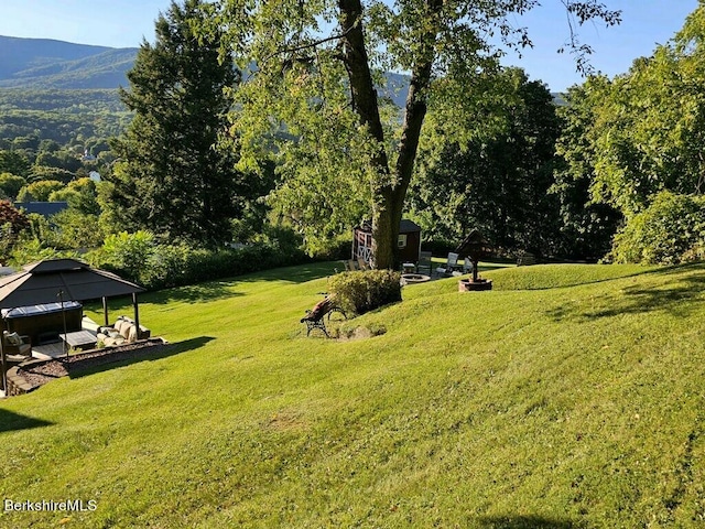 24 Turners Ave, Adams, MA 01220 - view of grassy yard with a storage shed and a mountain view