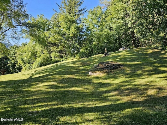 24 Turners Ave, Adams, MA 01220 - view of green lawn