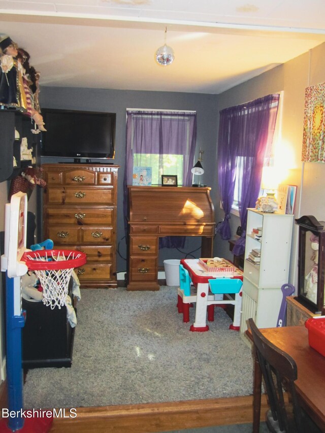 24 Turners Ave, Adams, MA 01220 - game room featuring carpet floors