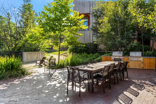 view of patio / terrace with area for grilling and exterior kitchen