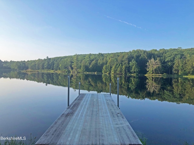 329 Lakeshore Dr, Sandisfield, MA 01255 - photo 76