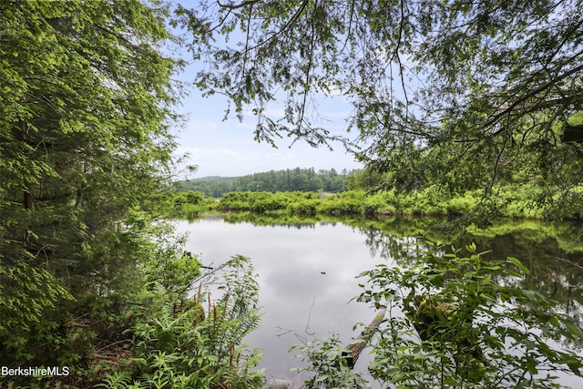 329 Lakeshore Dr, Sandisfield, MA 01255 - photo 9