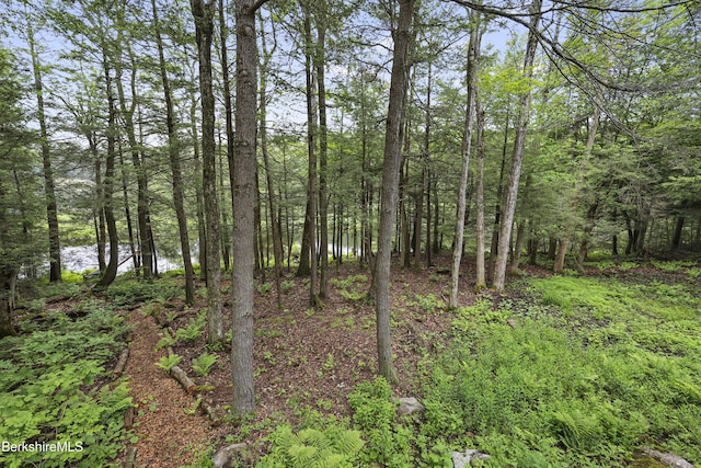 329 Lakeshore Dr, Sandisfield, MA 01255 - photo 11