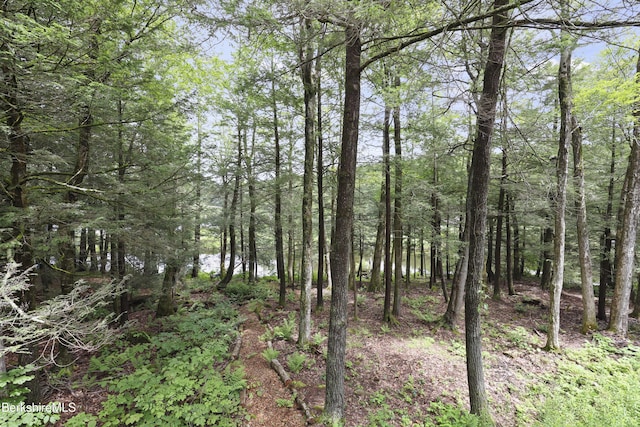 329 Lakeshore Dr, Sandisfield, MA 01255 - photo 45