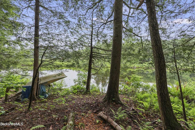 329 Lakeshore Dr, Sandisfield, MA 01255 - photo 8