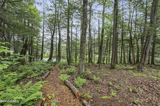 329 Lakeshore Dr, Sandisfield, MA 01255 - photo 12