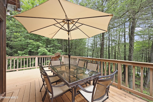 329 Lakeshore Dr, Sandisfield, MA 01255 - photo 41