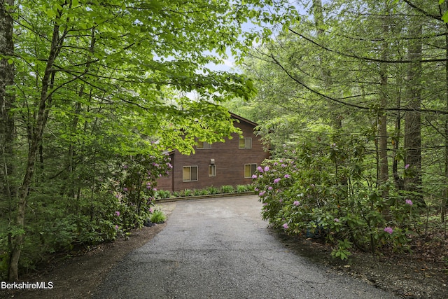 329 Lakeshore Dr, Sandisfield, MA 01255 - photo 4