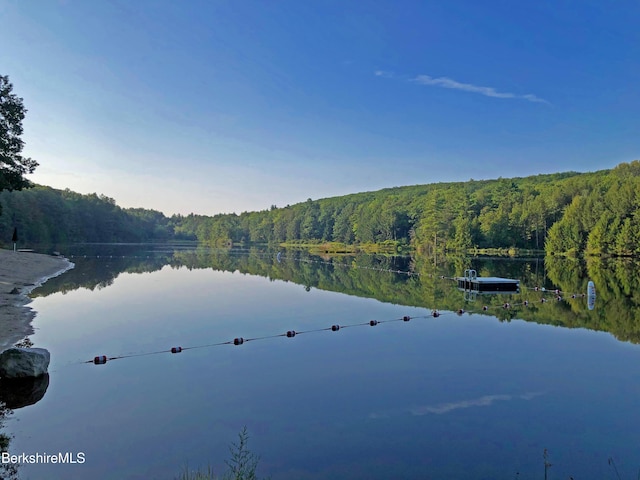 329 Lakeshore Dr, Sandisfield, MA 01255 - photo 77