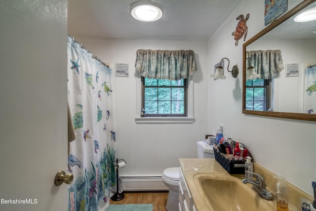 495 Williamstown Rd, Lanesborough, MA 01237 - bathroom with a baseboard heating unit, plenty of natural light, wood finished floors, and toilet