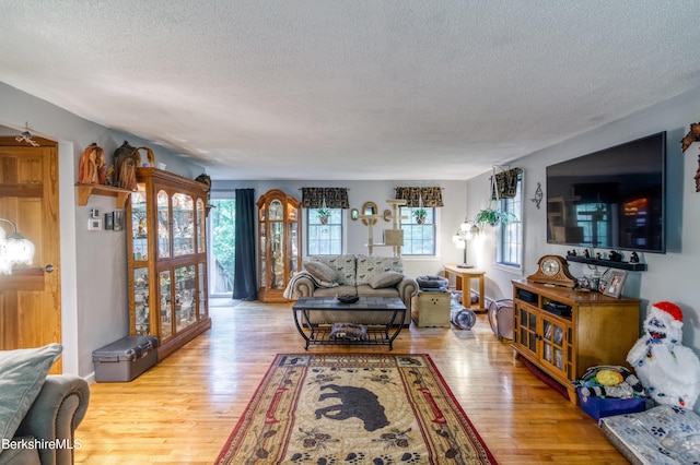 495 Williamstown Rd, Lanesborough, MA 01237 - living area with healthy amount of natural light, a textured ceiling, and wood finished floors