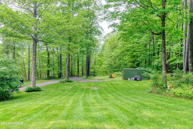 495 Williamstown Rd, Lanesborough, MA 01237 - view of grassy yard