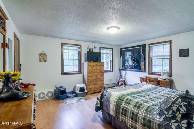 495 Williamstown Rd, Lanesborough, MA 01237 - bedroom with wood finished floors, multiple windows, and a textured ceiling