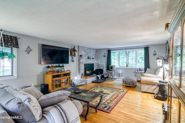 495 Williamstown Rd, Lanesborough, MA 01237 - living room featuring a fireplace and wood finished floors