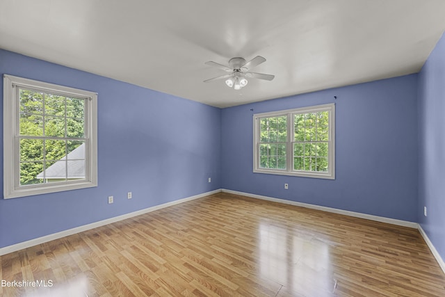 970 Cape St, Lee, MA 01238 - photo 28
