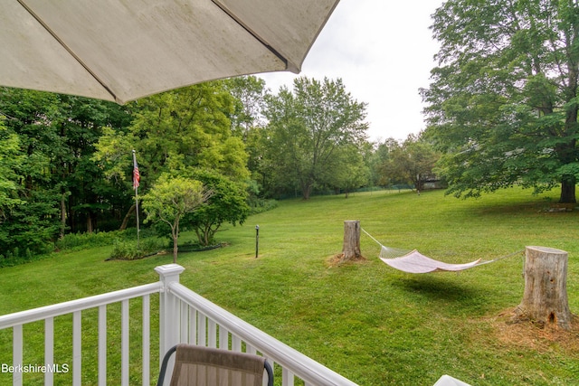63 Yarmouth St, Pittsfield, MA 01201 - view of grassy yard