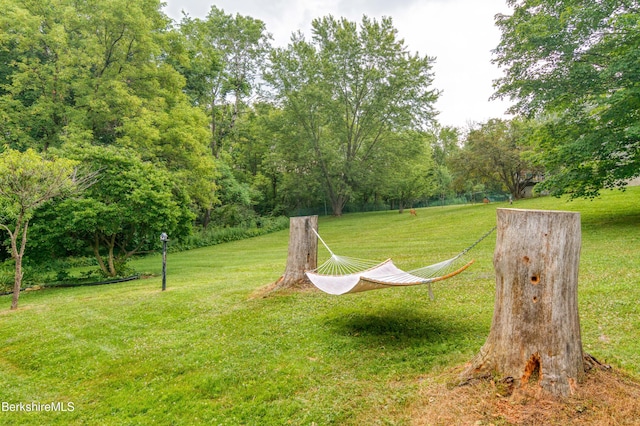 63 Yarmouth St, Pittsfield, MA 01201 - view of green lawn