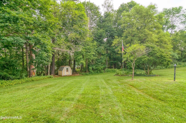 63 Yarmouth St, Pittsfield, MA 01201 - view of grassy yard featuring a storage unit