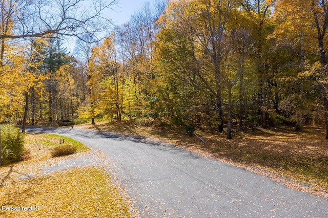 LOT144 Eastbrook Ln, Pittsfield, MA 01201 - photo 2