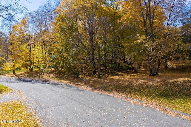 LOT144 Eastbrook Ln, Pittsfield, MA 01201 - photo 1