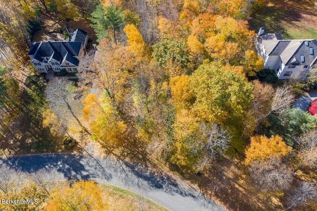 LOT144 Eastbrook Ln, Pittsfield, MA 01201 - photo 3