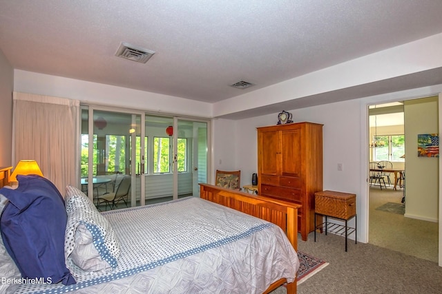 770 Summer St Unit 5D, Lee, MA 01238 - carpeted bedroom with access to exterior