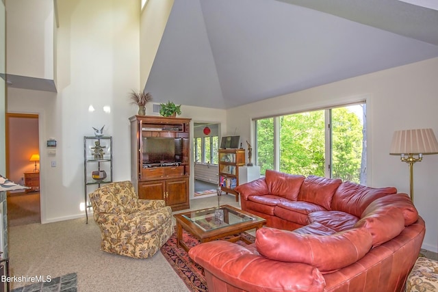 770 Summer St Unit 5D, Lee, MA 01238 - living room featuring high vaulted ceiling, carpet flooring, and baseboards