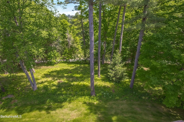 770 Summer St Unit 5D, Lee, MA 01238 - view of grassy yard with a forest view