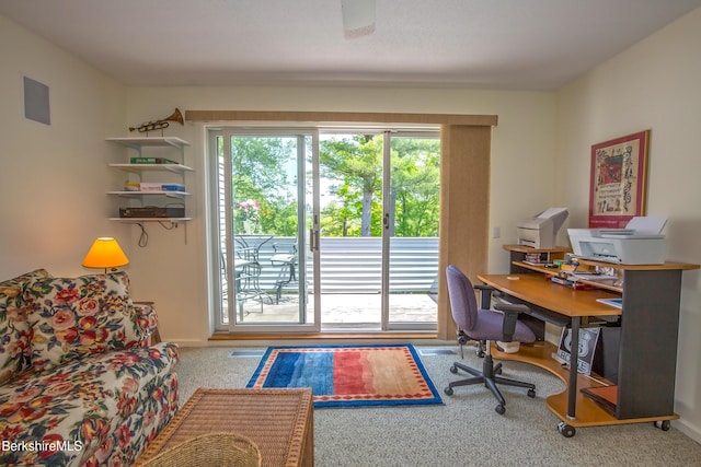 770 Summer St Unit 5D, Lee, MA 01238 - office area with carpet flooring and baseboards