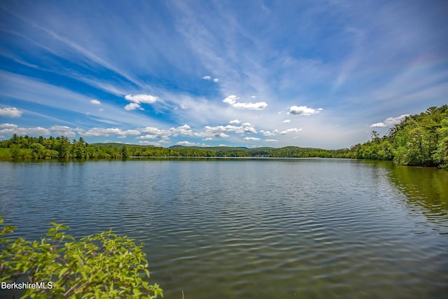 770 Summer St Unit 5D, Lee, MA 01238 - water view featuring a forest