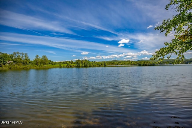770 Summer St Unit 5D, Lee, MA 01238 - water view
