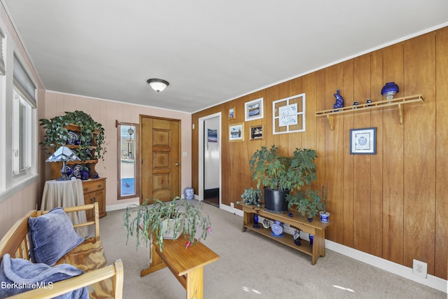 living area with carpet and baseboards