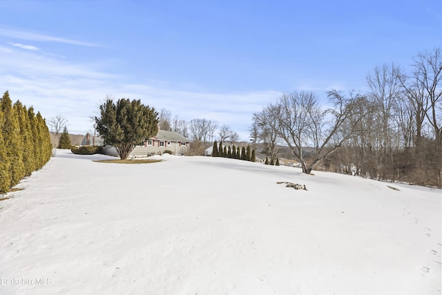 view of yard layered in snow