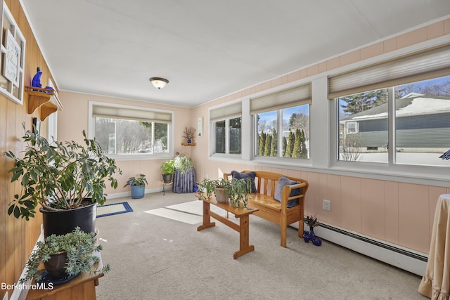 sunroom / solarium with baseboard heating